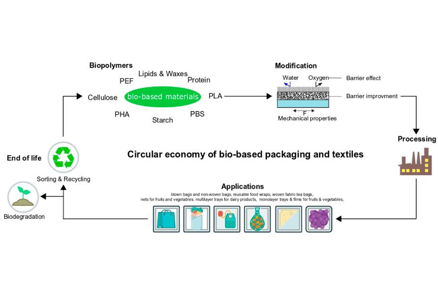What is Polyethylene Furanoate? PEF Market Trends